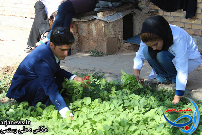 گزارش تصویری محصول سبزیجات دانشجویان علوم کشاورزی دانشگاه پیام نور کوهدشت