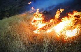 مراتع و اراضي جنگلي كوهاي “سياه چال” كوهدشت در آتش سوخت.