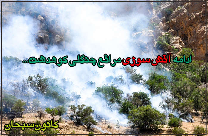 آتش سوزی گسترده درختان منطقه ی«دالاو و حرین خلیفه»کوهدشت