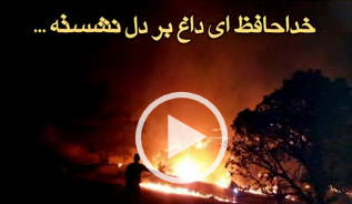 فیلم هوایی از «آتش سوزی جنگل های کوهدشت»/علت آتش سوزی معلوم شد.
