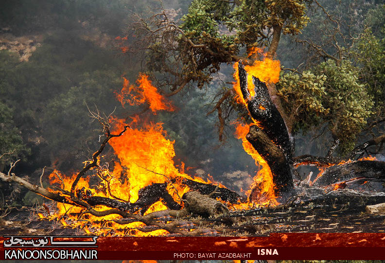 گزارش تصویری« آتش سوزی در جنگل های کوهدشت لرستان» /عکاس:بیات آزادبخت