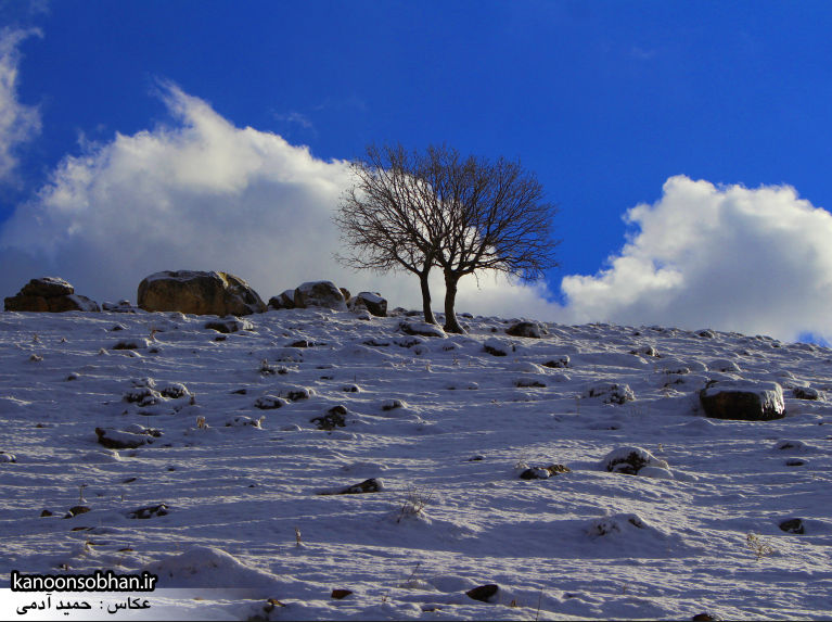تصاویر برف زمستانی منطقه هرین کوهدشت در بهمن 94
