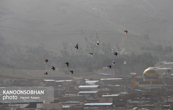 سلام «گردوغبار» به آسمان لرستان/خرم آباد، کوهدشت، پلدختر و رومشکان با آلودگی 2 برابر حد مجاز