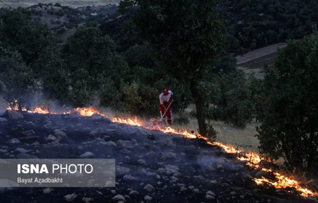 تصاویر آتش سوزی منطقه بلوران کوهدشت/تیرماه 96