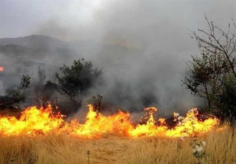 آتش‌سوزی جنگل‌های «گاچال» طرهان مهار شد