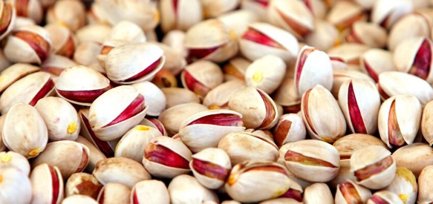 سطح زیر کشت باغات پسته کوهدشت به 200هکتار رسید /مرغوبیت این محصول در رقابت با سایر نقاط