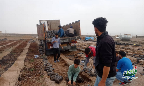 20 هزار اصله نهال مثمر در دهستان کوهدشت شمالی توزیع میشود/ایجاد اشتغال پایدار برای 300 نفر