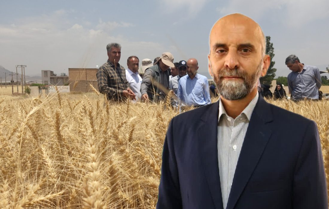 ۴۷ هزار هکتار مزارع گندم دراستان آبی و۱۹٠هزارهکتاردیم هستند