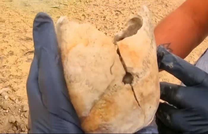 بازگشت جمجمه ۹ هزار ساله مرد دلفانی به لرستان