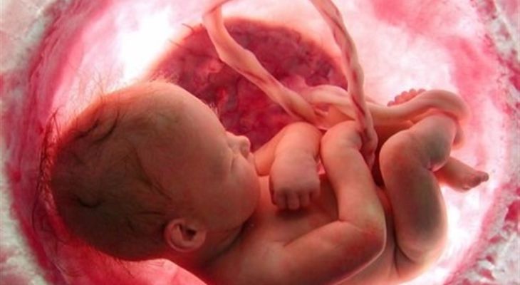 ۲۴۳ نفر به مراکز نفس مراجعه کردند