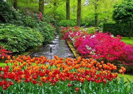 چالش‌ها و امیدها در توسعه پایدار شهری