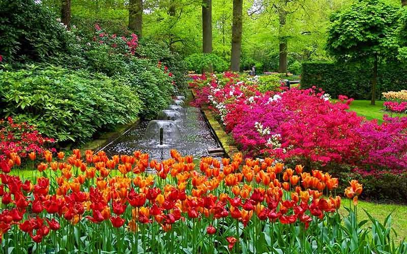چالشها و امیدها در توسعه پایدار شهری