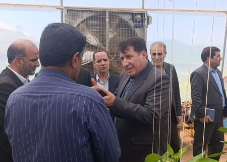 توسعه کشت گلخانه‌ای، راهبرد اشتغال در کوهدشت