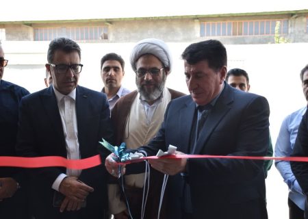 افتتاح کارخانه تولید بستنی در کوهدشت با ۳۰ میلیارد تومان اعتبار