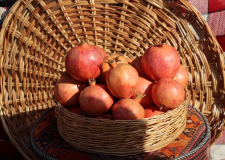 سپاسنامه‌ای به پاس انار و ایثار