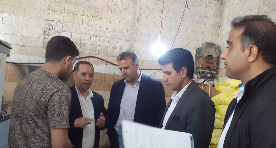 گشت مشترک بازرسی از خبازی‌های کوهدشت؛ تشکیل ۸ پرونده تعزیراتی