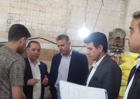 گشت مشترک بازرسی از خبازی‌های کوهدشت؛ تشکیل ۸ پرونده تعزیراتی