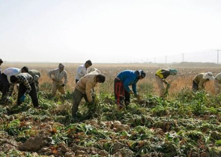 لرستان برای نجات دسترنج کشاورزان می‌جنگد