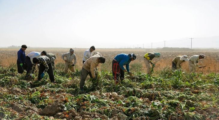 لرستان برای نجات دسترنج کشاورزان می‌جنگد
