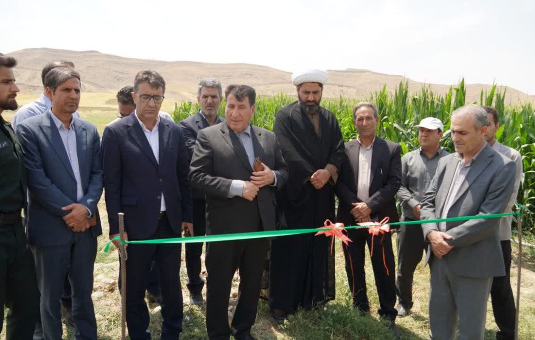 بهرهبرداری از طرح آبیاری نوین در ۱۴ هکتار از اراضی کوهدشت
