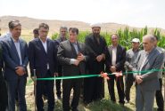 بهره‌برداری از طرح آبیاری نوین در ۱۴ هکتار از اراضی کوهدشت