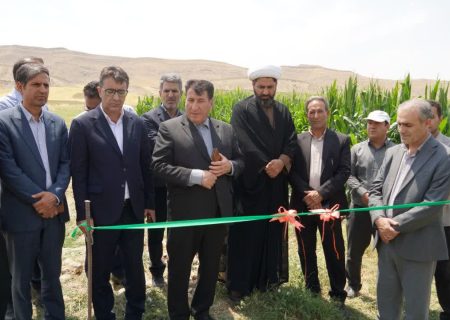 بهره‌برداری از طرح آبیاری نوین در ۱۴ هکتار از اراضی کوهدشت
