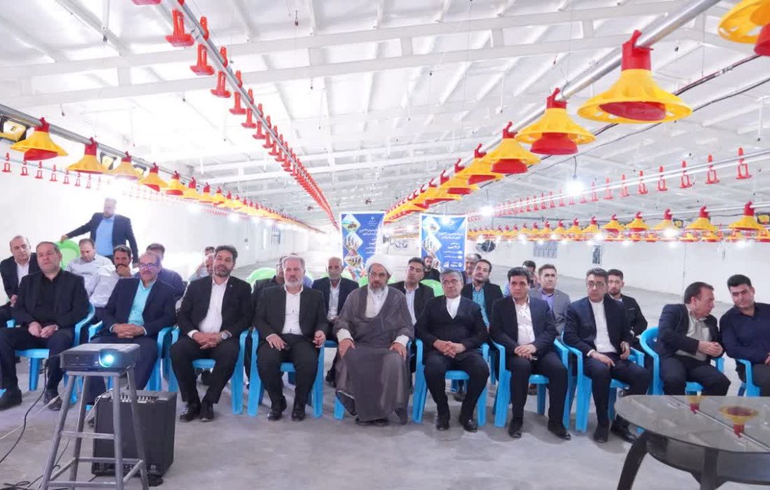 فاز نخست مرغداری تعاونی کوهدشت با اعتبار کلان