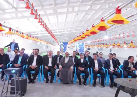 فاز نخست مرغ‌داری تعاونی کوهدشت با اعتبار کلان