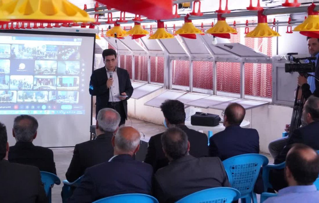 تولید در کوهدشت با افتتاح مرغداری شرکت تعاونی