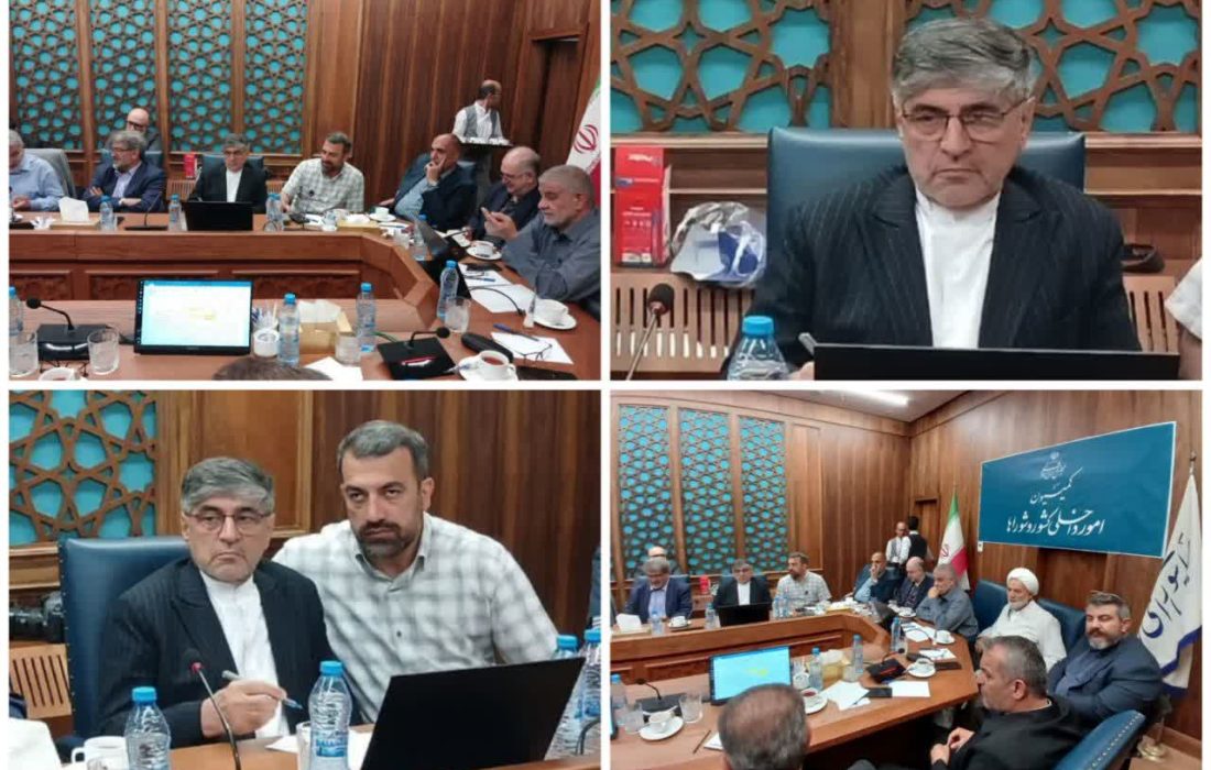 اصلاح ضوابط تقسیمات کشوری و منابع درآمدی شوراها، نقشه راه عدالت‌