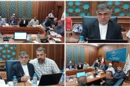 اصلاح ضوابط تقسیمات کشوری و منابع درآمدی شوراها، نقشه راه عدالت‌