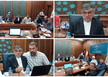 اصلاح ضوابط تقسیمات کشوری و منابع درآمدی شوراها، نقشه راه عدالت‌